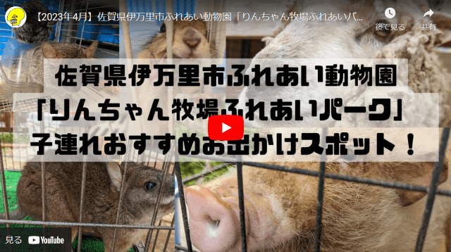 実際に2023年4月佐賀県伊万里市ふれあい動物園「りんちゃん牧場ふれあいパーク」に行った時の動画youtube